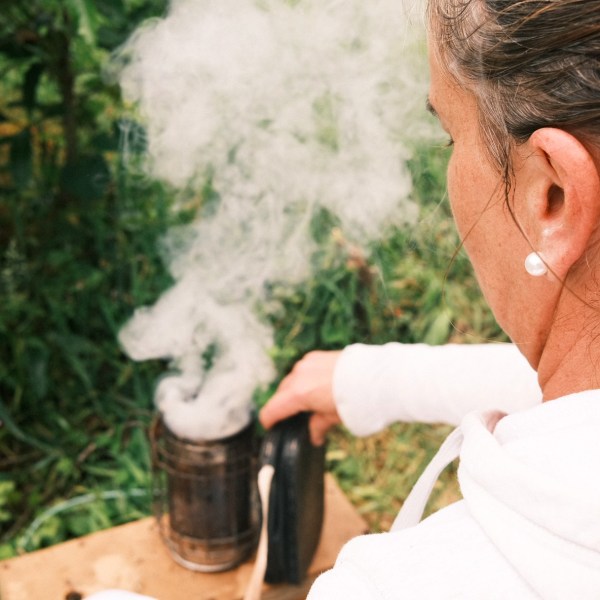 a person in a blue shirt