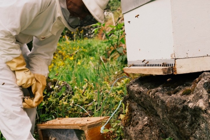 a man that is standing in the grass