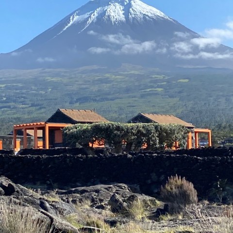 a train with a mountain in the background