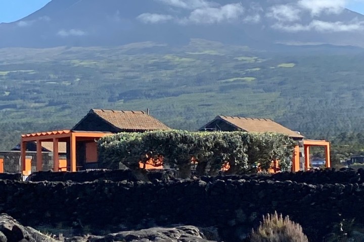 a train with a mountain in the background