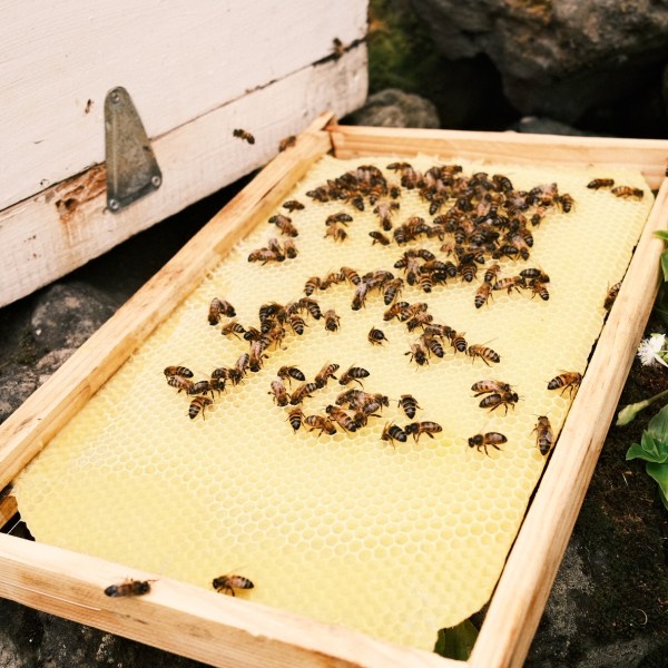 a slice of pizza sitting on top of a wooden box