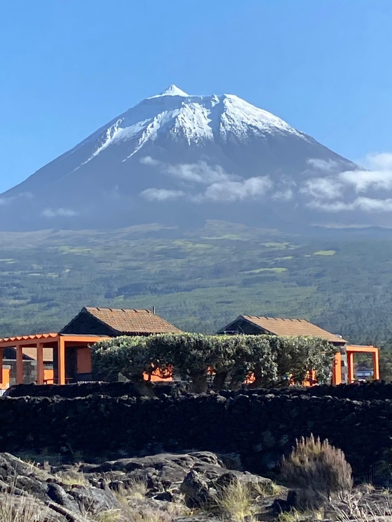 a train with a mountain in the background