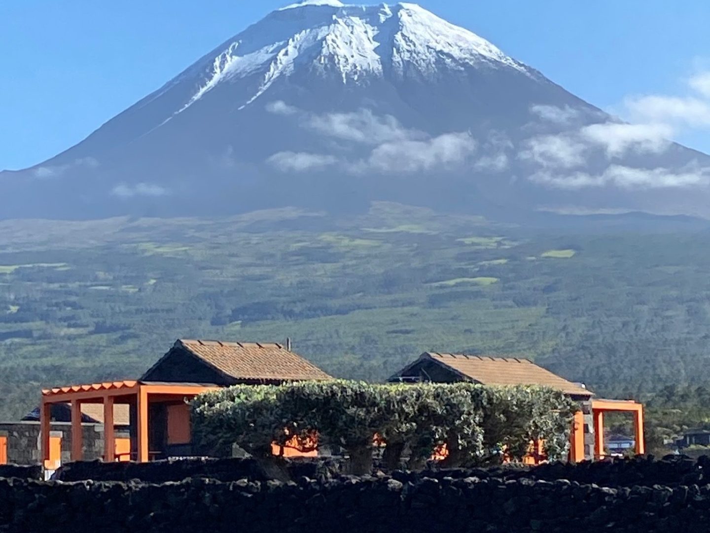 a train with a mountain in the background