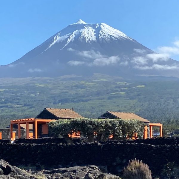 a train with a mountain in the background