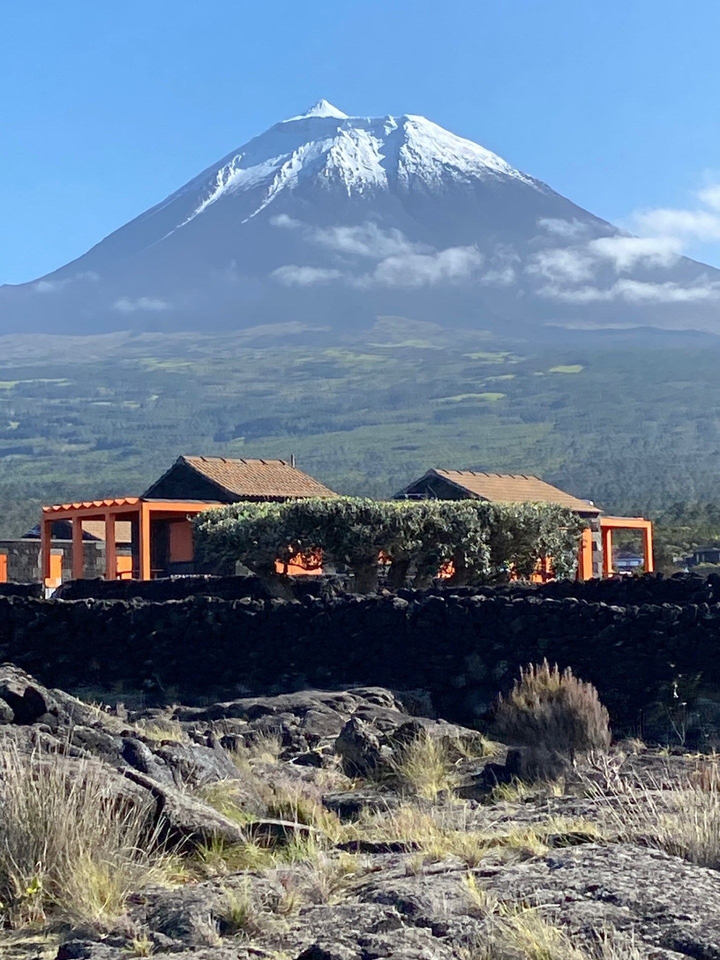 a train with a mountain in the background