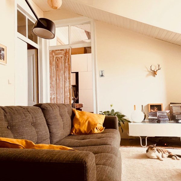 Cozy living room with a brown couch, yellow pillows, and a cat lying on the floor.
