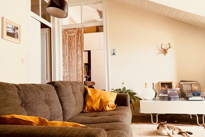 Cozy living room with a brown couch, yellow pillows, and a cat lying on the floor.