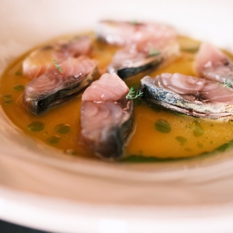 Sliced raw fish in orange sauce with green herbs on a white plate.