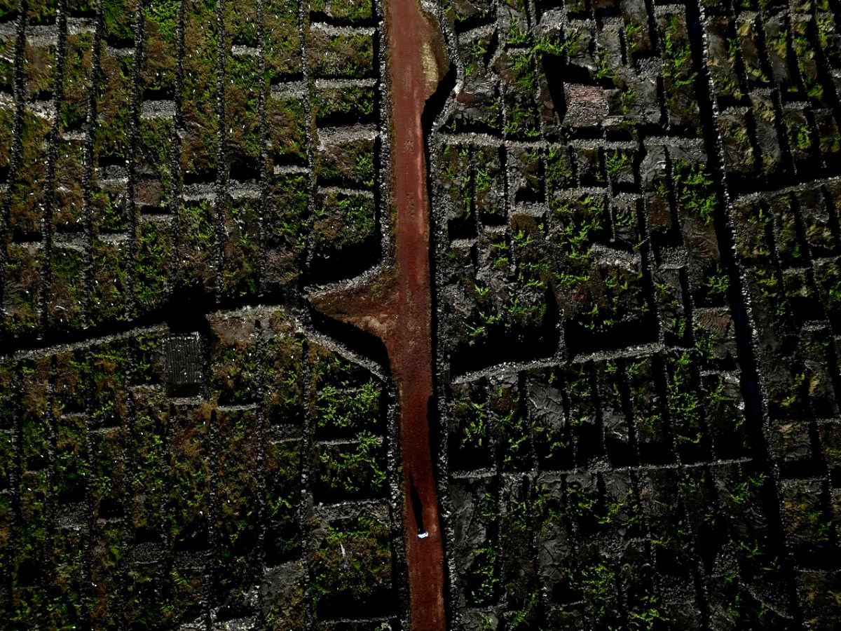 Aerial view of a narrow red path dividing green, mossy stone tiles.