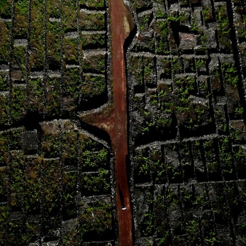 Aerial view of a narrow red path dividing green, mossy stone tiles.