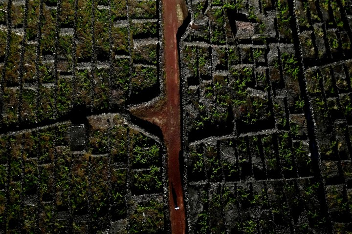Aerial view of a narrow red path dividing green, mossy stone tiles.