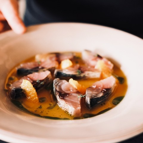 Person holding a plate of sliced fish in orange sauce with herbs.