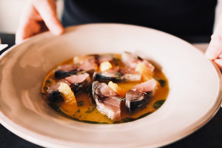 Person holding a plate of sliced fish in orange sauce with herbs.