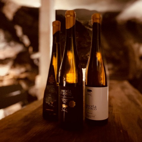 Three wine bottles on a wooden surface in dim lighting.