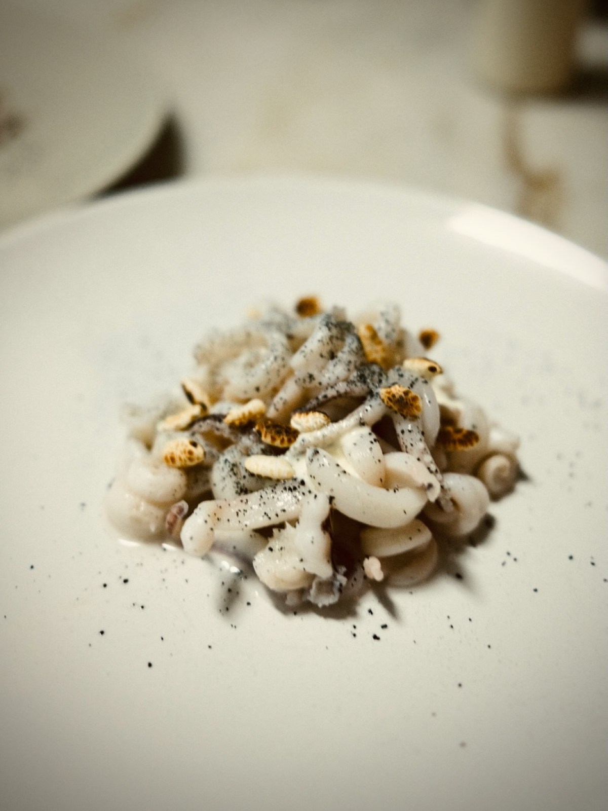 Close-up of a plated dish featuring pasta with sauce and black pepper.