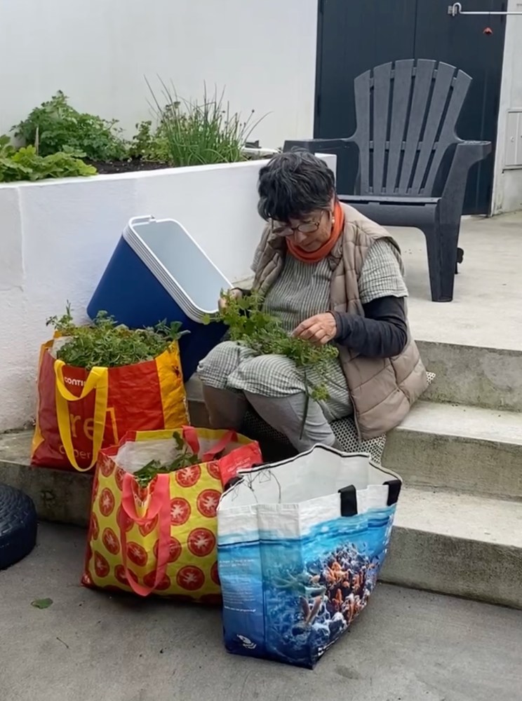 Person sitting on steps sorting plants, next to three filled shopping bags.