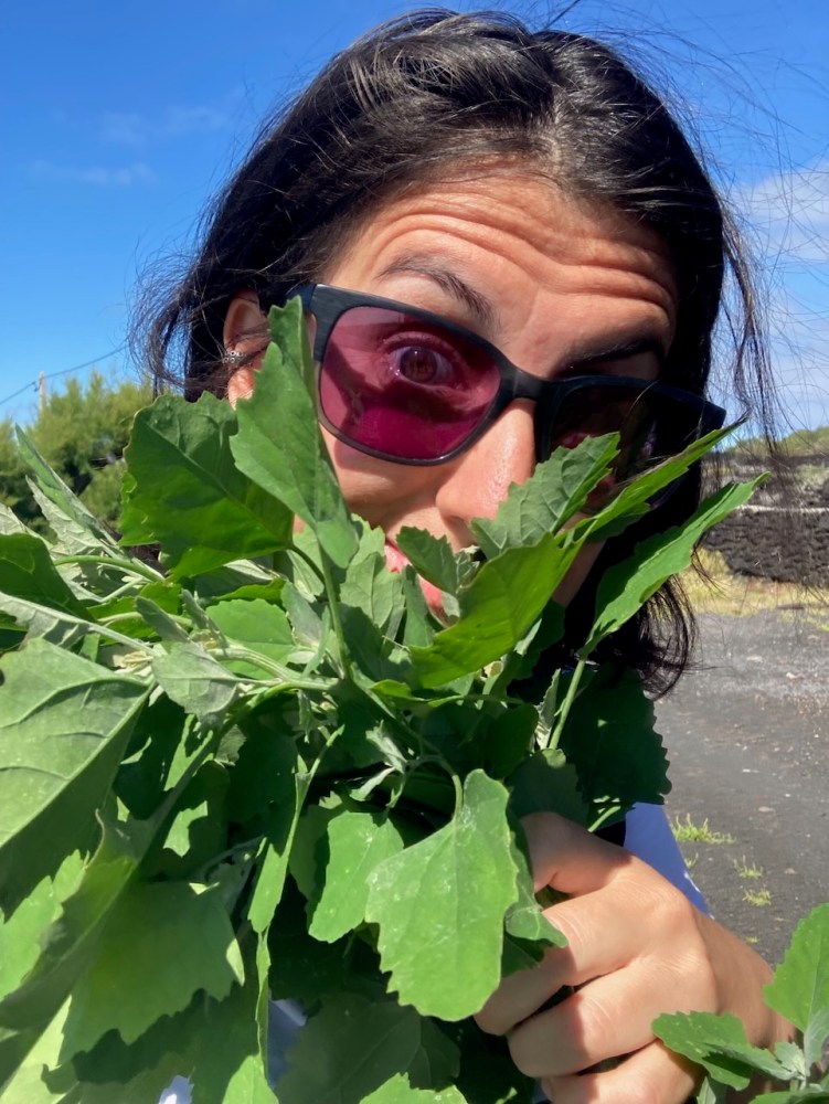 Person in sunglasses playfully holding leafy greens in front of face on a sunny day.