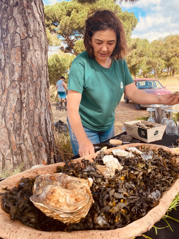 Woman arranging oysters on seaweed in a wooden dish at an outdoor event.